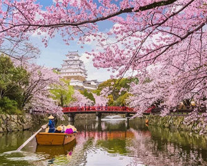 peinture par numéros | Fleurs de cerisiers au Japon | Complexe, fleurs, paysages | FiguredArt