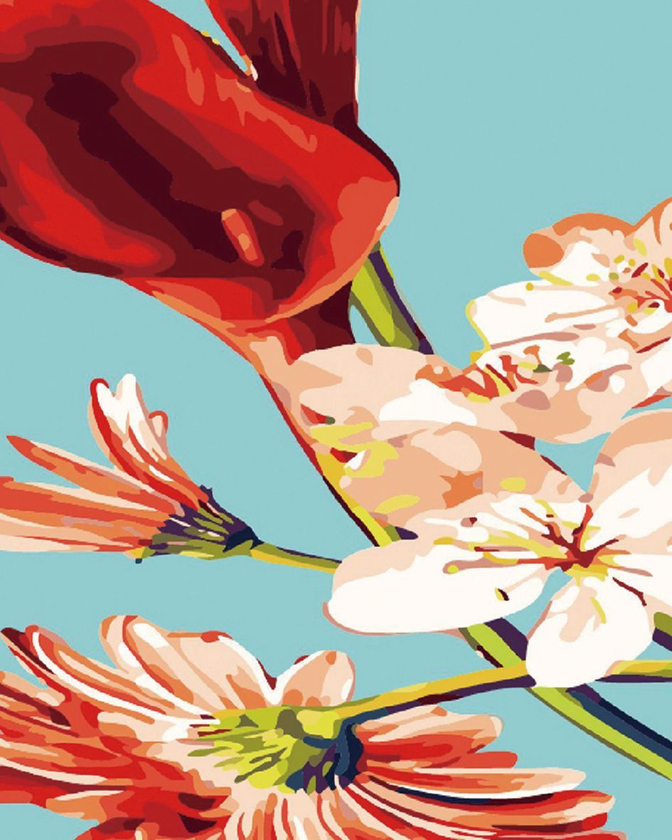 peinture par numéros | Fleurs et Aromes rouges | facile, fleurs | FiguredArt