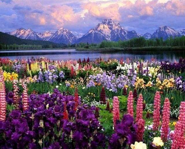peinture par numéros | Fleurs et Lac au pied de la Montagne | complexe fleurs paysages | FiguredArt