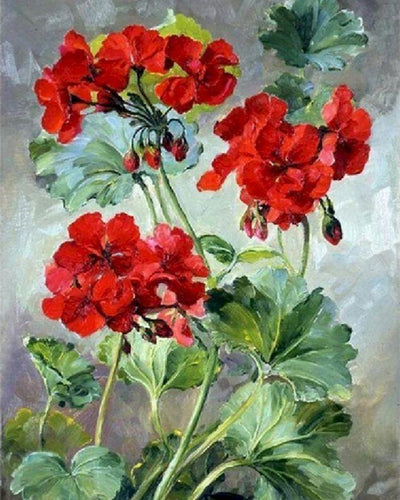 peinture par numéros | Géraniums rouges | nouveautés fleurs complexe | FiguredArt