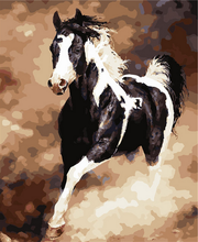 Charger l&#39;image dans la galerie, peinture par numéros | Grand Cheval Noir et Blanc | animaux, chevaux, Facile | FiguredArt