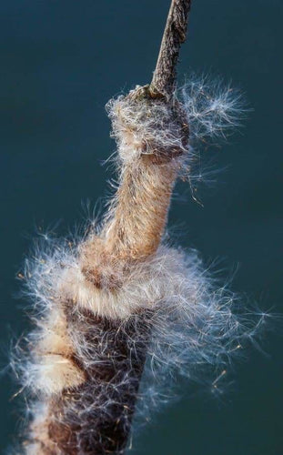 peinture par numéros | Gros plan sur Corde | abstrait intermédiaire | FiguredArt