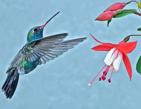 peinture par numéros | Hibiscus en Vol vers les fleurs | animaux, fleurs, Intermédiaire, oiseaux | FiguredArt
