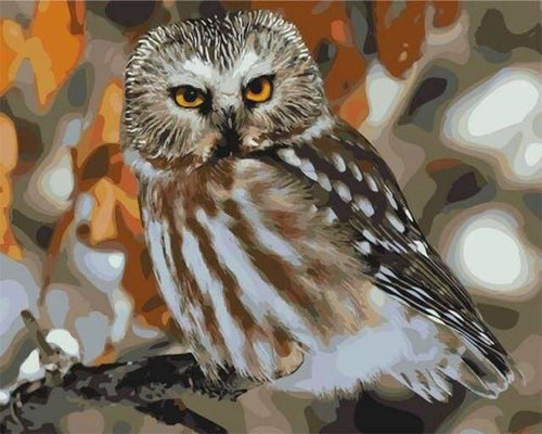 peinture par numéros | Hibou gris et marron | animaux chouettes et hiboux intermédiaire | FiguredArt