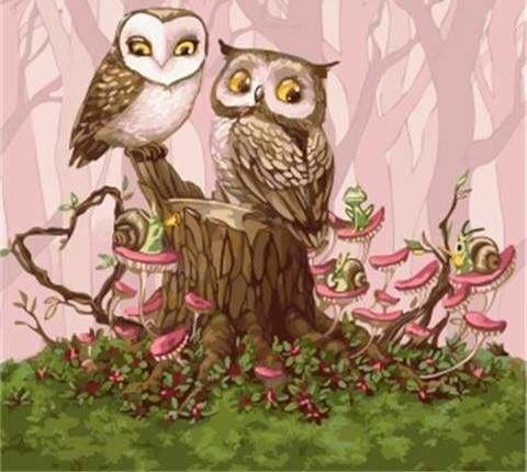 peinture par numéros | Hiboux dans la Forêt | animaux chouettes et hiboux intermédiaire | FiguredArt