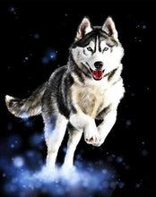 Charger l&#39;image dans la galerie, peinture par numéros | Husky | animaux chiens intermédiaire | FiguredArt