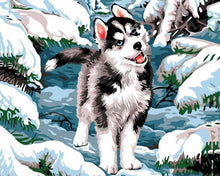 Charger l&#39;image dans la galerie, peinture par numéros | Husky dans la neige | nouveautés chiens hiver intermédiaire | FiguredArt