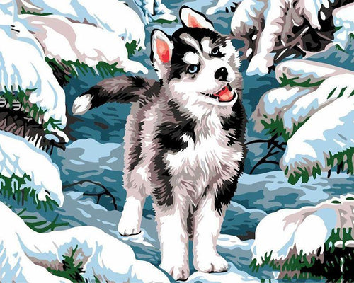 peinture par numéros | Husky dans la neige | nouveautés chiens hiver intermédiaire | FiguredArt