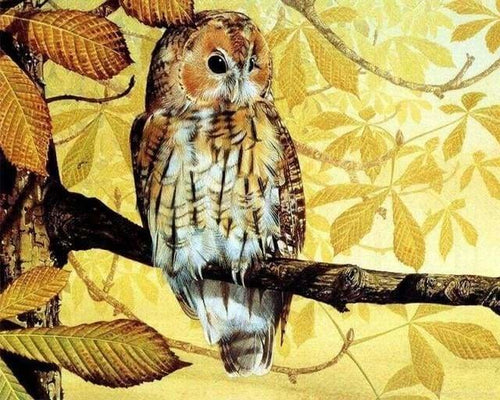 peinture par numéros | Jolie Chouette et paysage doré | animaux chouettes et hiboux intermédiaire | FiguredArt