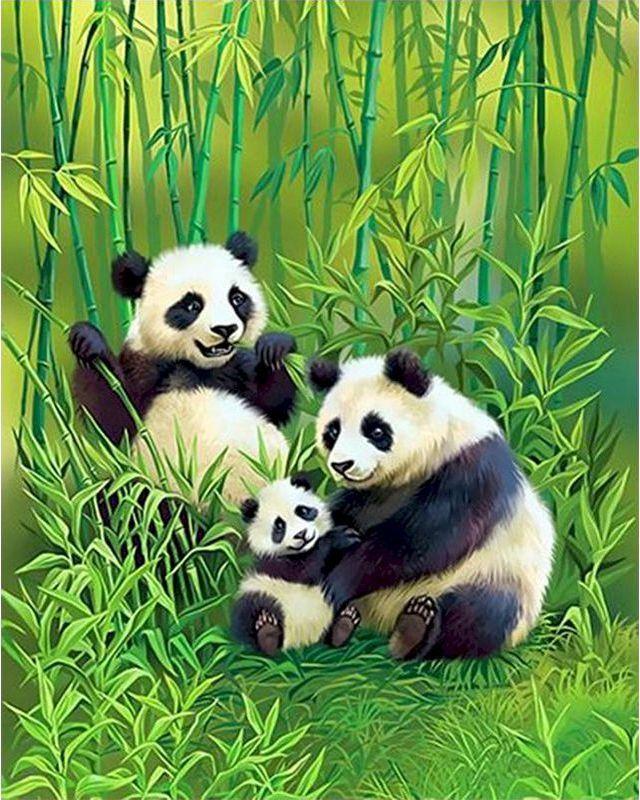 peinture par numéros | La famille Pandas | nouveautés animaux pandas complexe | FiguredArt