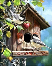 Charger l&#39;image dans la galerie, peinture par numéros | La Maison des Oiseaux | animaux intermédiaire oiseaux | FiguredArt