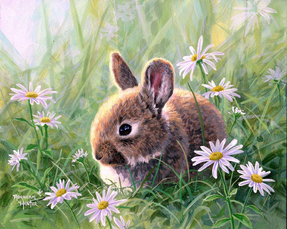 Peinture par numéros Lapin et marguerites | Figured'Art intermédiaire animaux lapins nouveautés