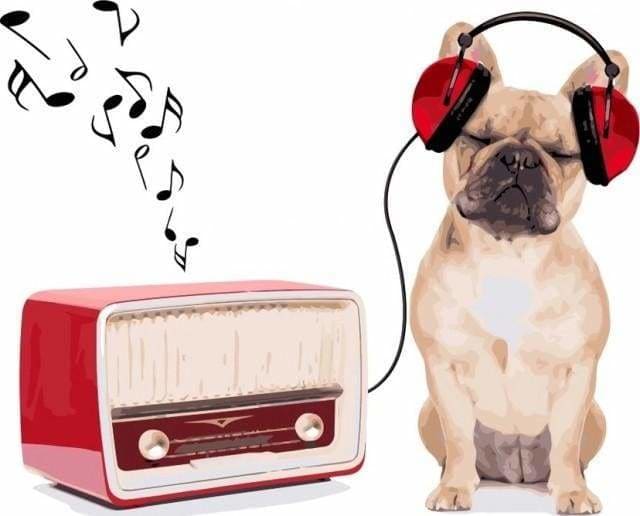 peinture par numéros | Le Chien qui écoute de la Musique Vintage | animaux chiens facile | FiguredArt