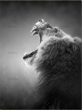 Charger l&#39;image dans la galerie, peinture par numéros | Le Rugissement du Lion | animaux complexe lions | FiguredArt