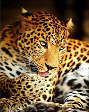 Charger l&#39;image dans la galerie, peinture par numéros | Léopard | animaux intermédiaire léopards | FiguredArt