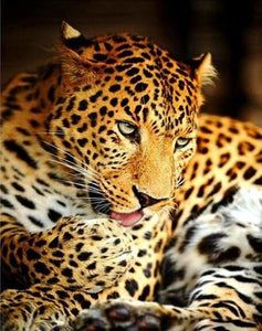 peinture par numéros | Léopard | animaux intermédiaire léopards | FiguredArt
