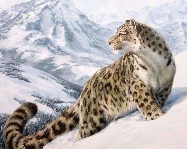 peinture par numéros | Léopard des Neiges | animaux intermédiaire léopards | FiguredArt