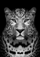 Charger l&#39;image dans la galerie, peinture par numéros | Léopard gris | animaux complexe léopards | FiguredArt