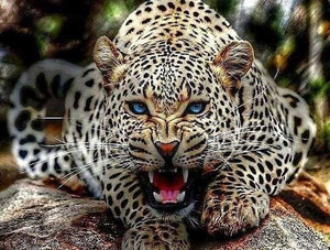 peinture par numéros | Léopard menaçant | animaux complexe léopards | FiguredArt