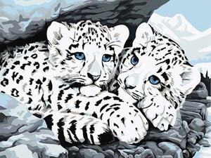 peinture par numéros | Léopards blancs | animaux facile léopards | FiguredArt
