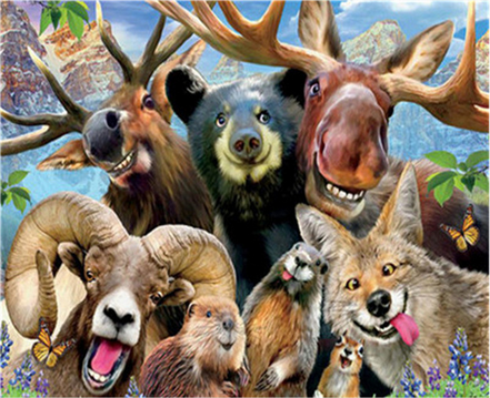 peinture par numéros | Les Animaux | animaux, Complexe | FiguredArt