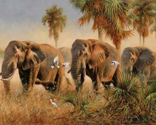 peinture par numéros | Les éléphants sauvages | animaux complexe éléphants | FiguredArt