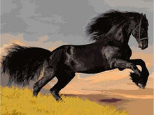 Charger l&#39;image dans la galerie, peinture par numéros | lEtalon noir | animaux chevaux facile | FiguredArt