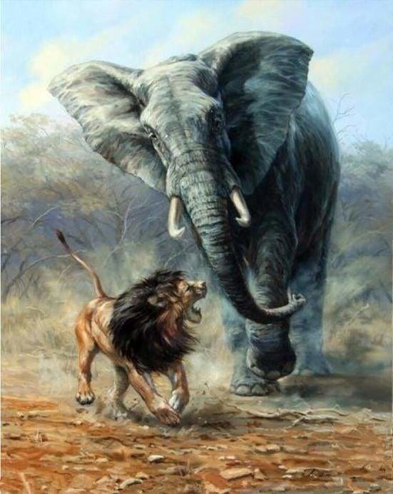 peinture par numéros | Lion et Eléphant | animaux complexe lions éléphants | FiguredArt