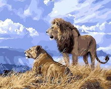 Charger l&#39;image dans la galerie, peinture par numéros | Lion et Lionne en Afrique | animaux intermédiaire lions | FiguredArt