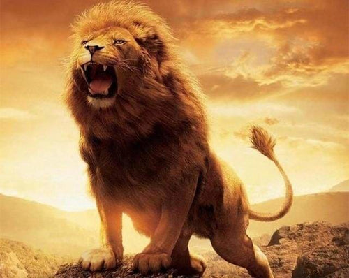 peinture par numéros | Lion rugissant | animaux complexe lions | FiguredArt