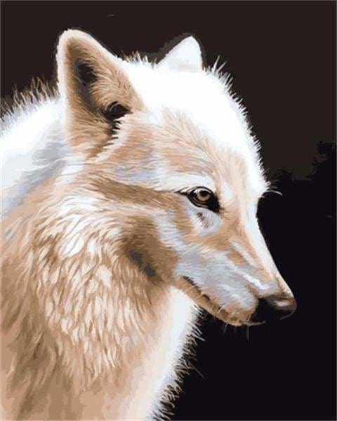peinture par numéros | Loup blanc | animaux intermédiaire loups | FiguredArt