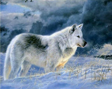 Charger l&#39;image dans la galerie, peinture par numéros | Loup solitaire dans la Neige | animaux complexe loups | FiguredArt