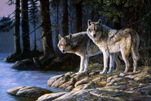 Charger l&#39;image dans la galerie, peinture par numéros | Loups dans la Forêt | animaux complexe loups paysages | FiguredArt