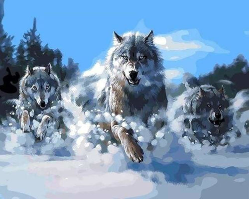 peinture par numéros | Loups dans la Neige | animaux intermédiaire loups | FiguredArt