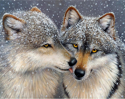 peinture par numéros | Loups sous la neige | animaux, Complexe, loups | FiguredArt