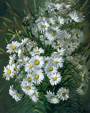 Charger l&#39;image dans la galerie, peinture par numéros | Marguerites blanches | complexe fleurs | FiguredArt