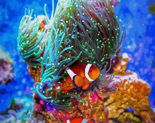 peinture par numéros | Némo | animaux complexe poissons | FiguredArt