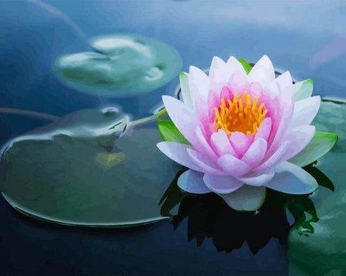 peinture par numéros | Nénuphar éclatant | complexe fleurs | FiguredArt