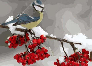peinture par numéros | Oiseau et Fruits rouges | animaux facile fleurs | FiguredArt