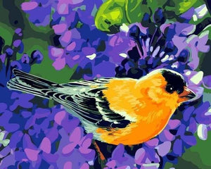 peinture par numéros | Oiseau orangé | animaux facile oiseaux | FiguredArt