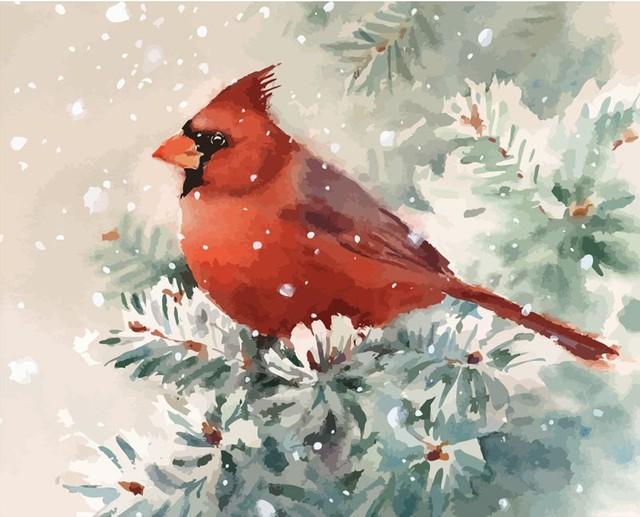 peinture par numéros | Oiseau rouge sous la Neige | animaux, Intermédiaire, oiseaux | FiguredArt