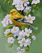 Charger l&#39;image dans la galerie, peinture par numéros | Oiseau sur une branche fleurie | nouveautés animaux oiseaux fleurs facile | FiguredArt