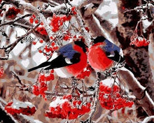 Charger l&#39;image dans la galerie, peinture par numéros | Oiseaux Amoureux | animaux complexe oiseaux | FiguredArt