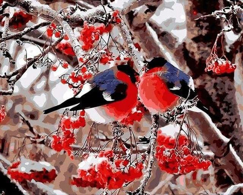 peinture par numéros | Oiseaux Amoureux | animaux complexe oiseaux | FiguredArt