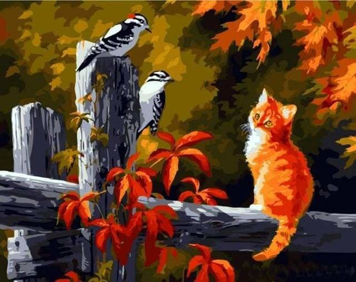 peinture par numéros | Oiseaux et Chaton attentif | animaux chats intermédiaire oiseaux | FiguredArt