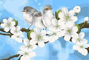 peinture par numéros | Oiseaux et Fleurs de Magnolias | animaux facile fleurs oiseaux | FiguredArt