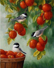 Charger l&#39;image dans la galerie, peinture par numéros | Oiseaux et Pommes rouges | animaux complexe oiseaux | FiguredArt