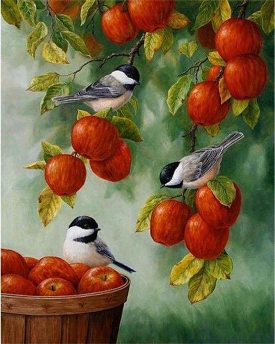 peinture par numéros | Oiseaux et Pommes rouges | animaux complexe oiseaux | FiguredArt