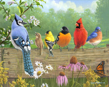 Charger l&#39;image dans la galerie, Peinture par numéros Oiseaux sur la barrière | Figured&#39;Art intermédiaire animaux oiseaux nouveautés