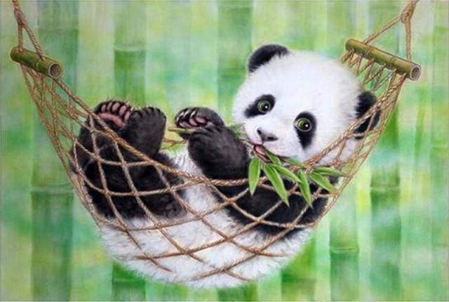 peinture par numéros | Panda dans son Hamac | animaux intermédiaire pandas | FiguredArt